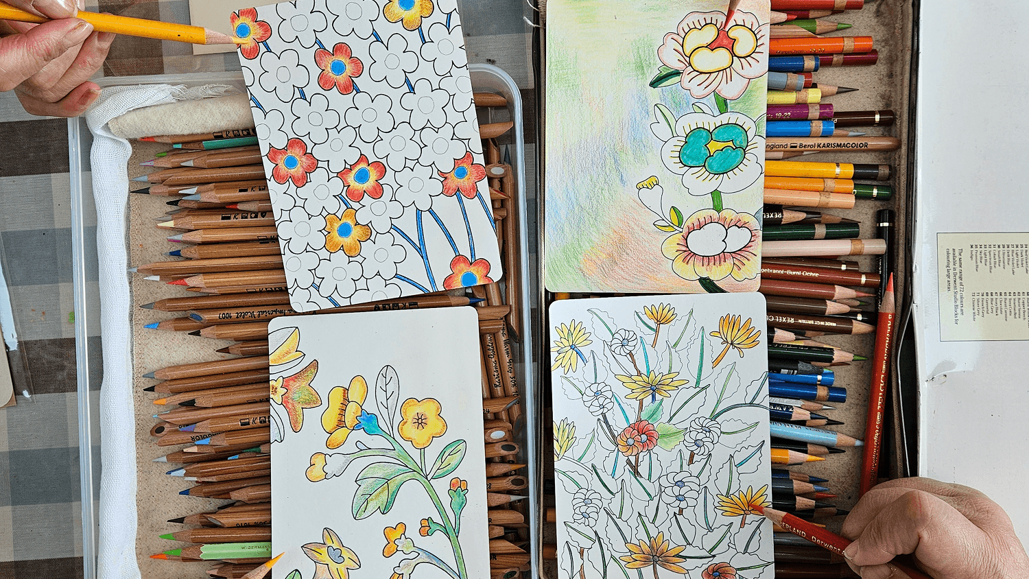 색연필 드로잉 [초급] 4