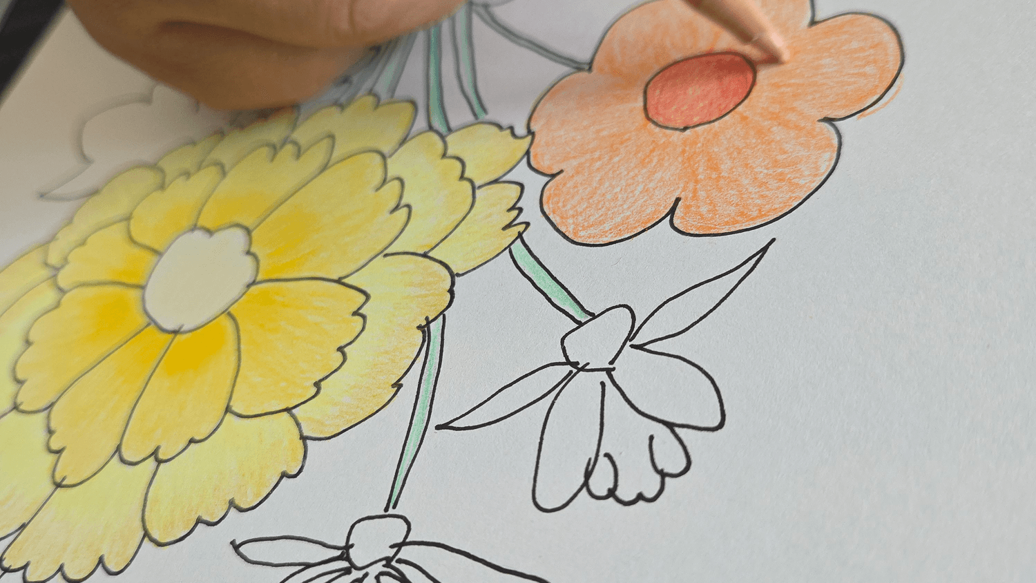 색연필 드로잉 [초급] 9