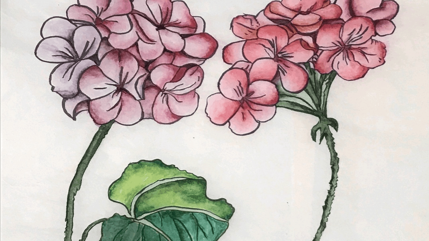 민화 드로잉 [입문] 11