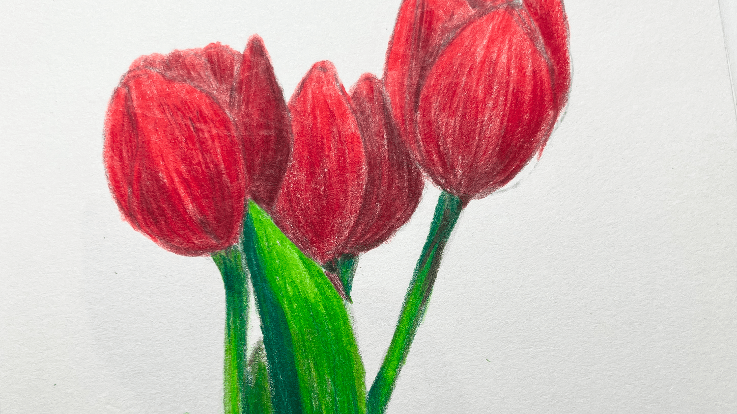 드로잉 [자유] 4