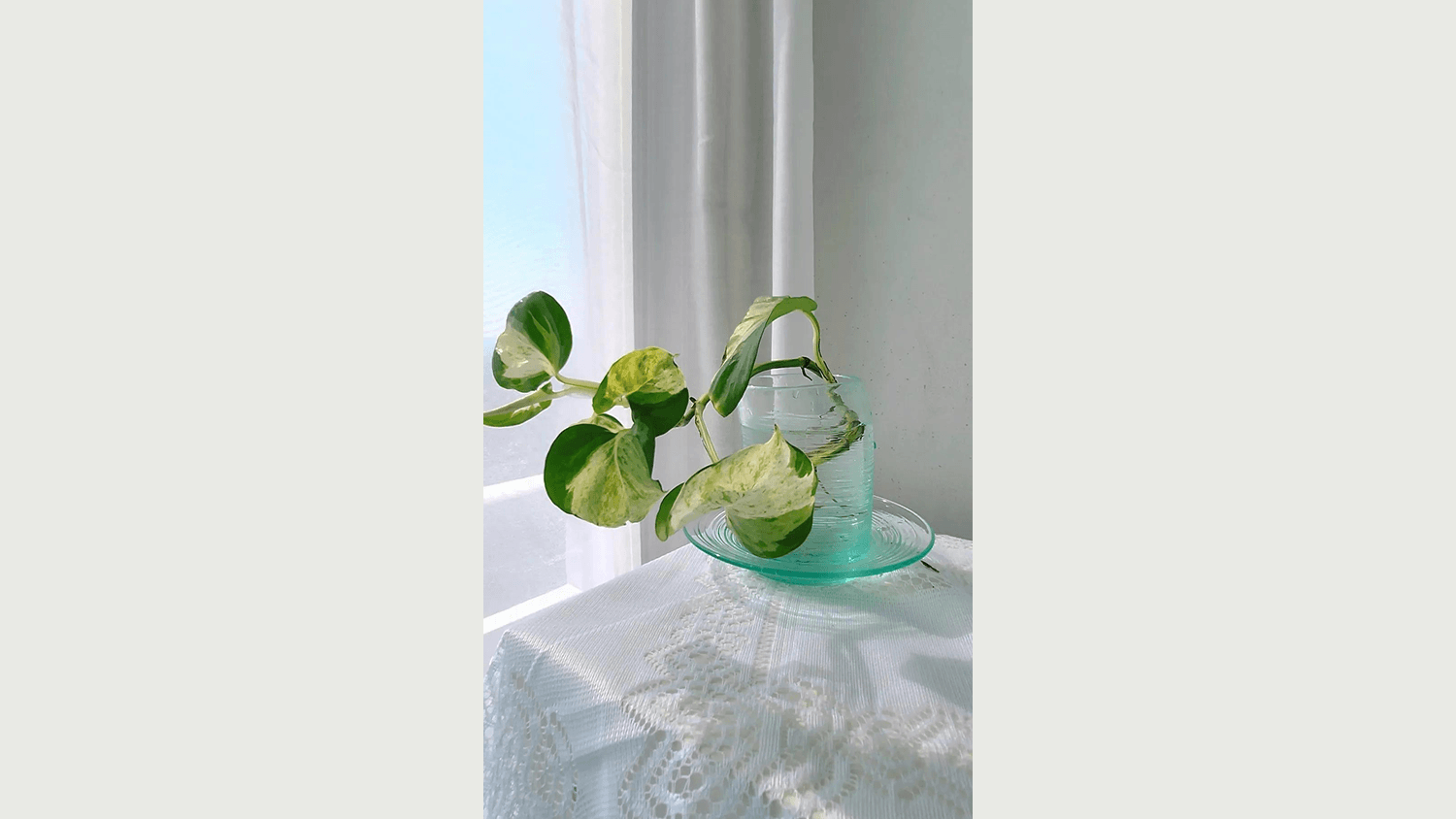 꽃꽂이 [입문] 10