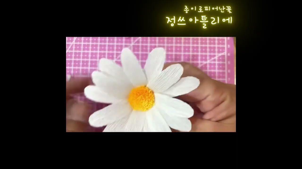 동영상 미리보기